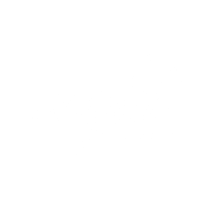 Black Gray Modern Minimalist Handwritten Script Typography Logo