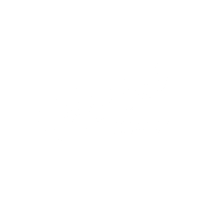 Black & White Handwritten Typography Logo