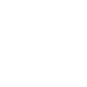 Black & White Handwritten Typography Logo